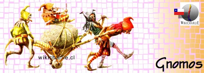 Banner gnomos.jpg