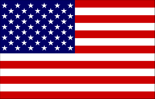 Bandera USA.jpg
