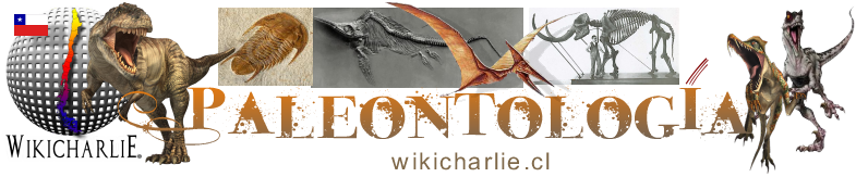 Banner Palenteologia WikicharliE.png