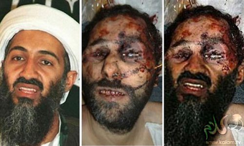 Osama bin Laden Dead.jpg