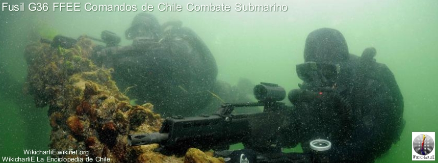 Fusil G36 FFEE Chile Comandos Combate submarino.jpg