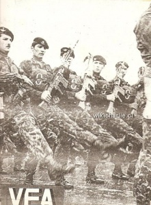Este año la revista preparatoria para la Gran Parada Militar, se realizo el 14 de septiembre de 1974 en el Parque O´Higgins, ese día los Boinas Negras desfilaron bajo una de las lluvias más intensas caídas en Santiago, hecho que llamo la atención de los medios.