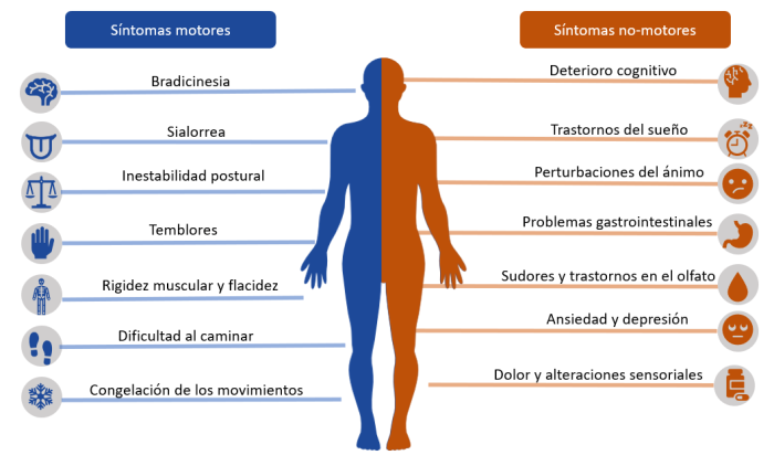 Diagrama sintomas Parkinson.png